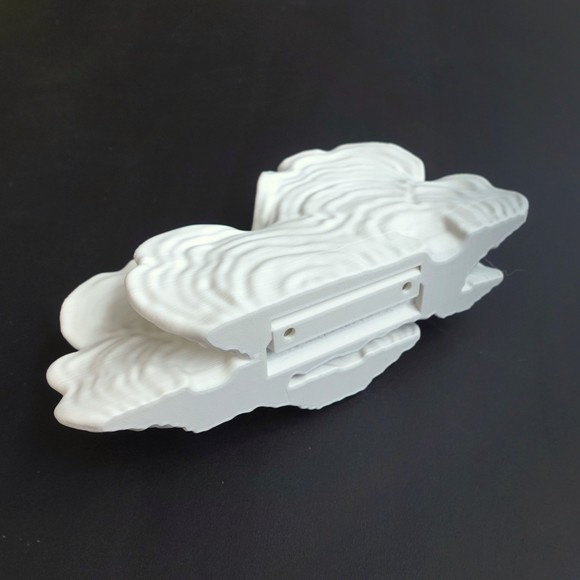 Gazzaladra Unique Wall shelf Interior Decor “Ostrea Fungus” for Party - Picture 4 of 6